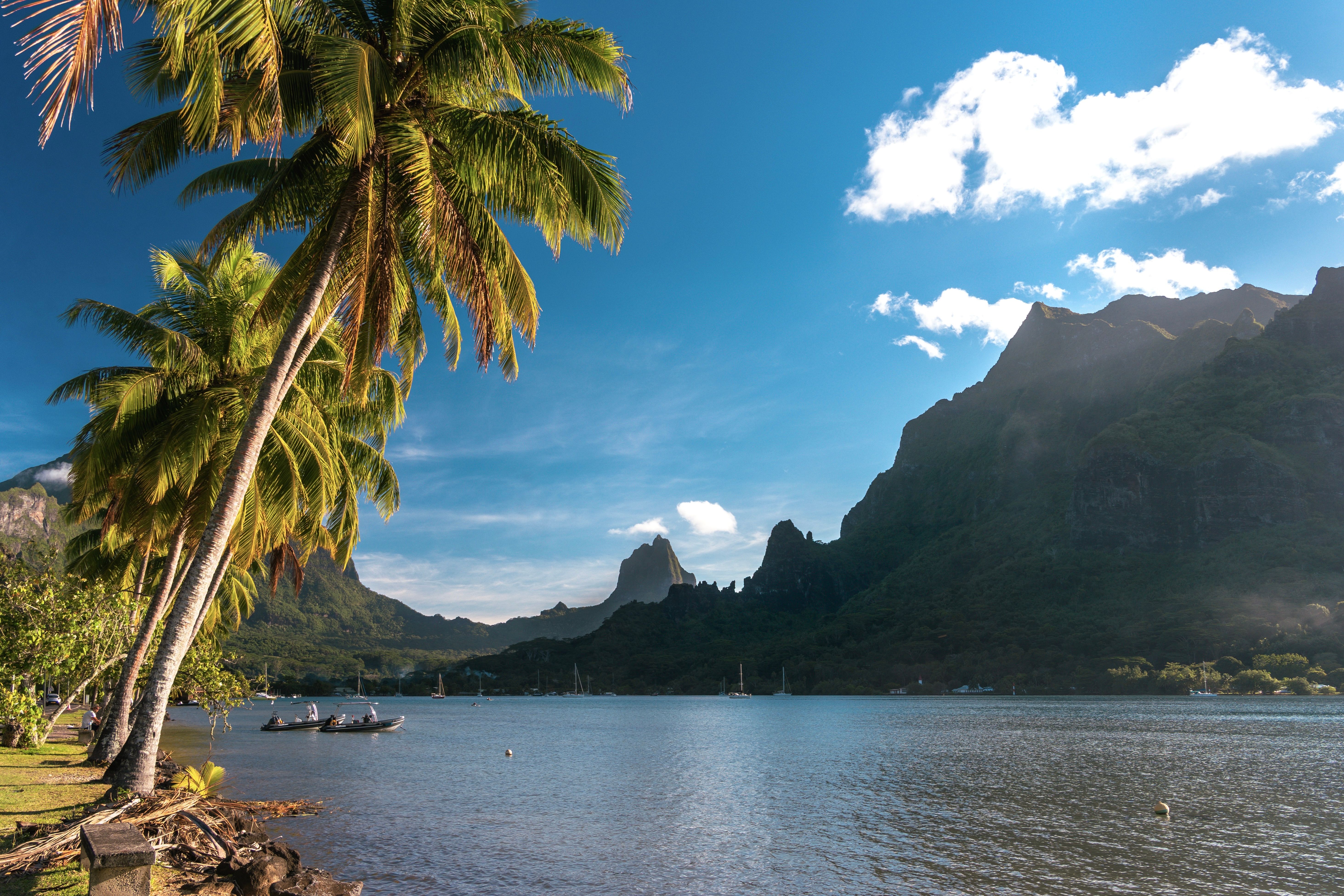Pristine turquoise lagoon and palm-fringed island in the South Pacific