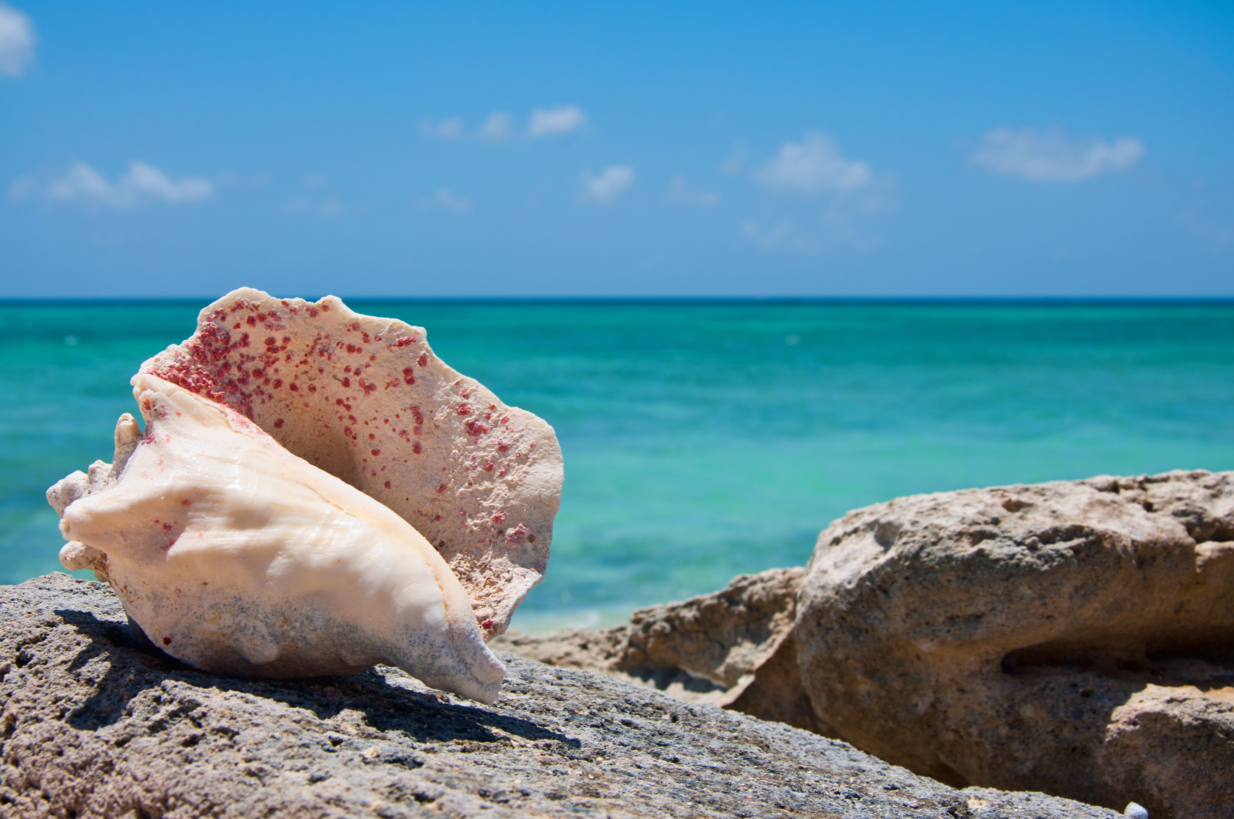 Pure white sand beaches and impossibly clear turquoise waters of Turks and Caicos